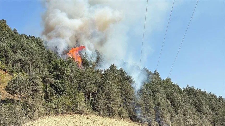 Sinop ile Bursa’da çıkan orman yangınları kontrol altına alındı