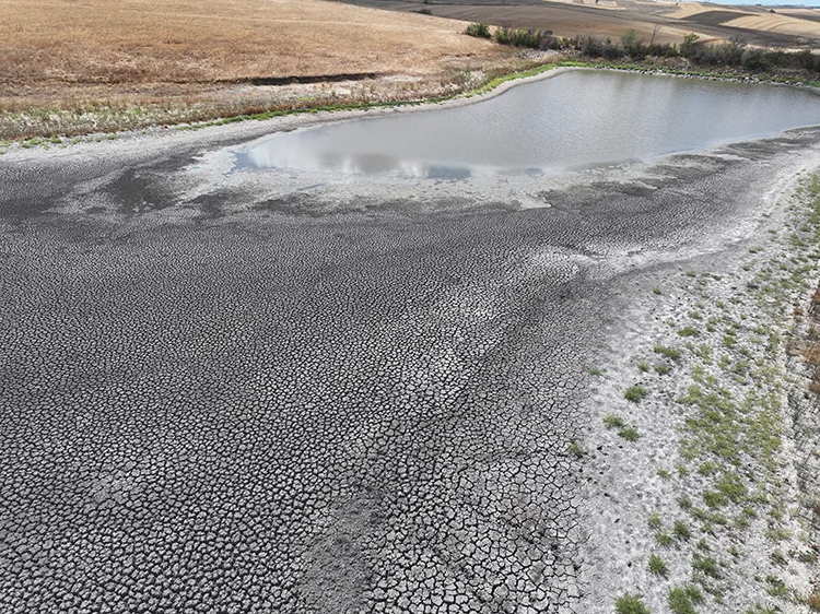 Edirne’deki Demirhanlı Göleti’nin suyu kuraklık nedeniyle tükenmek üzere