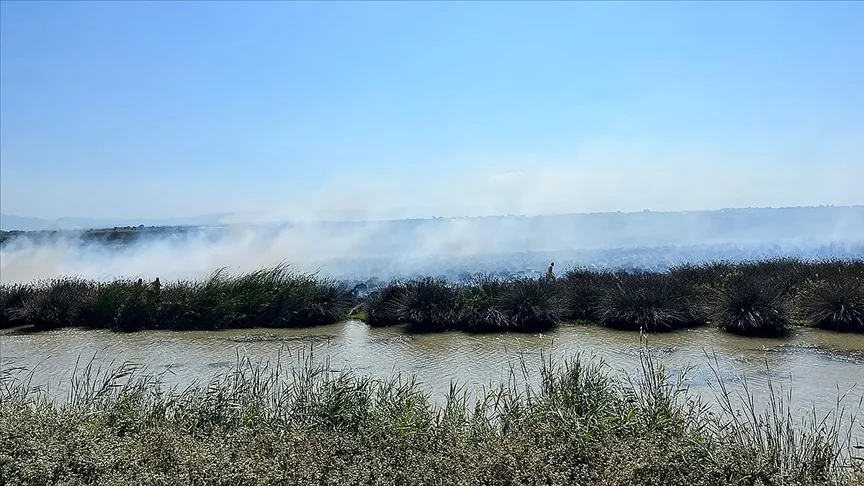 Kızılırmak Deltası Kuş Cenneti’nde yangın