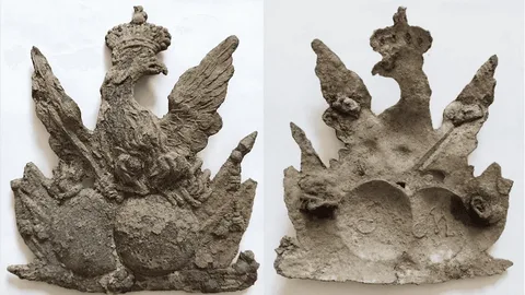 Polonya ormanlarında bulunan 18. yüzyıla ait pirinç kartal