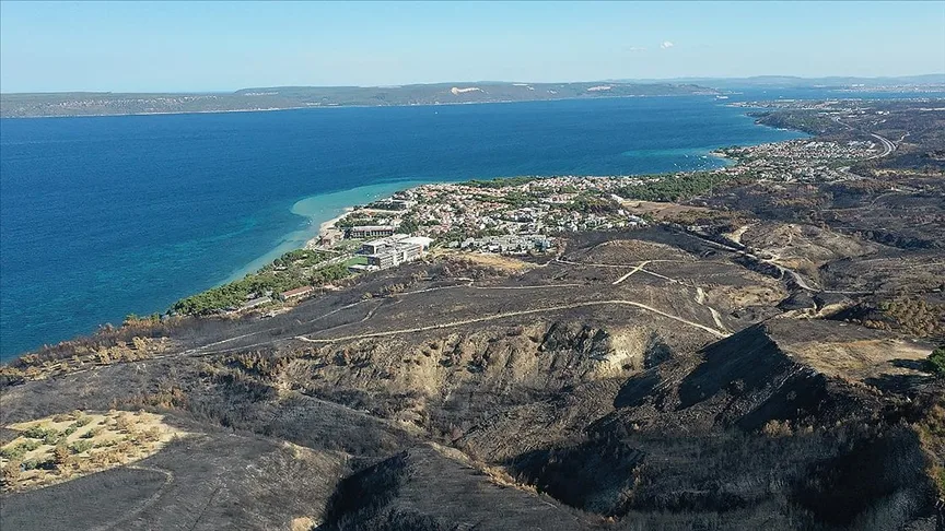 Orman yangınları deniz ekosistemini de tehdit ediyor