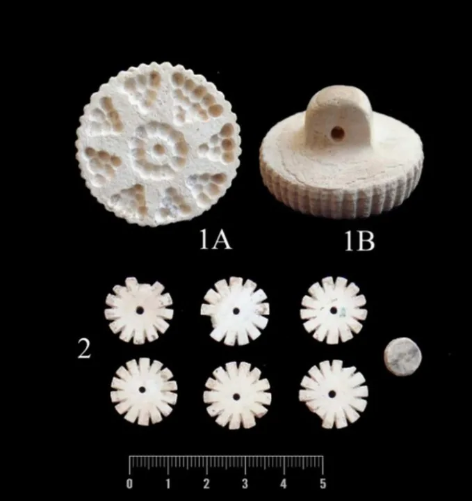 İran’ın Büyük Horasan Medeniyetinde Görkemli Bronz Çağı Kızının Mezarı Keşfedildi