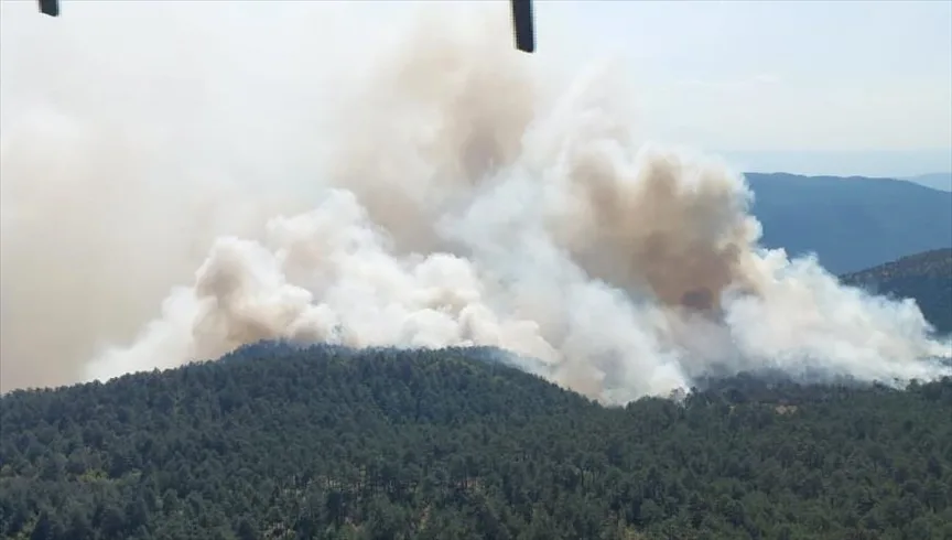Sinop’ta çıkan orman yangınına müdahale ediliyor