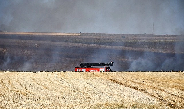 3 günde 70 hektarlık alan kül oldu