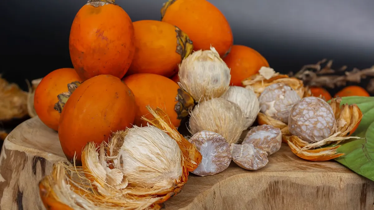 4.000 Yıllık Dişlerde Betel Fıstığı Kullanımına Dair İlk Doğrudan Kanıt Bulundu