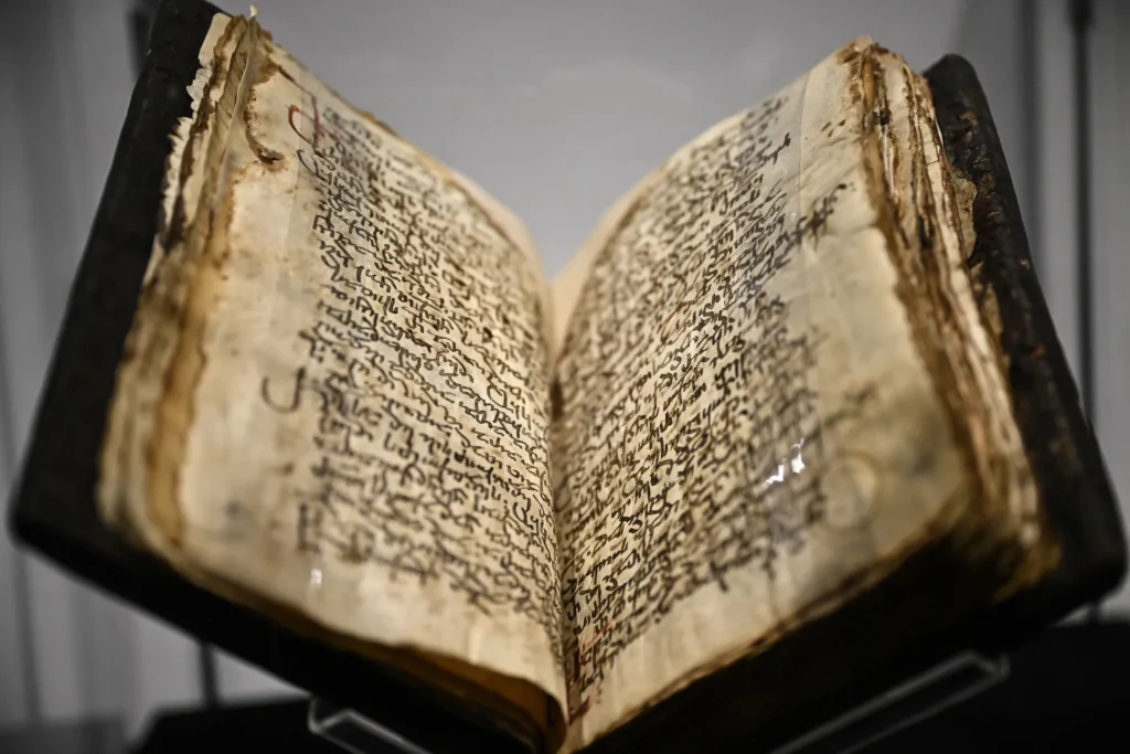 Evrimsel Biyoloji Yeni Ahit Anlayışını Yeniden Şekillendiriyor