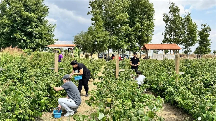 Kurduğu meyve bahçesiyle hem kendi hem mahalleli iş sahibi oldu