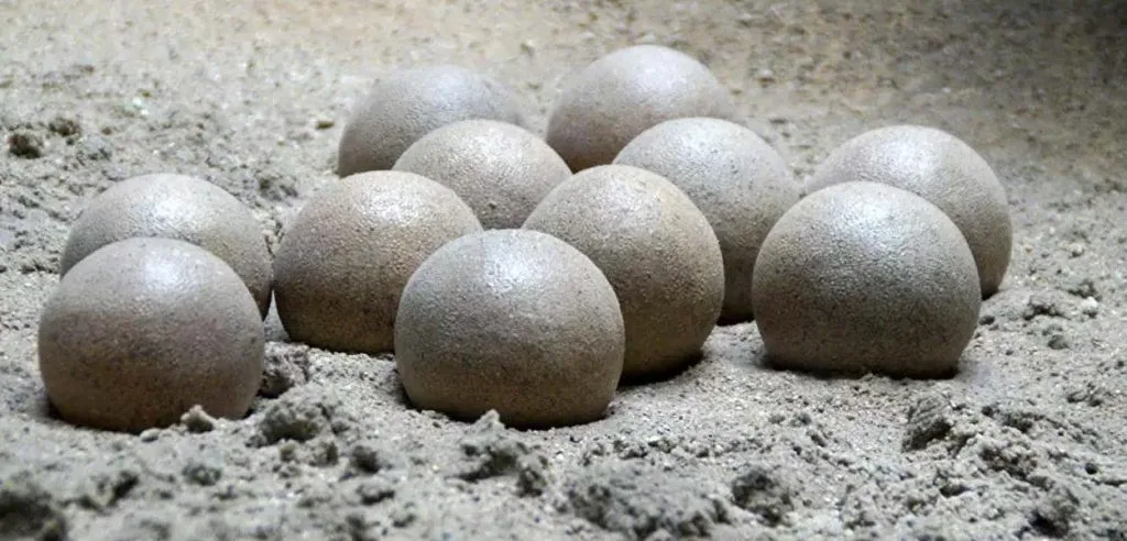 Paleontologlar İspanya’da Fosilleşmiş Bir Yuvada Düzinelerce Devasa Dinozor Yumurtası Buldu