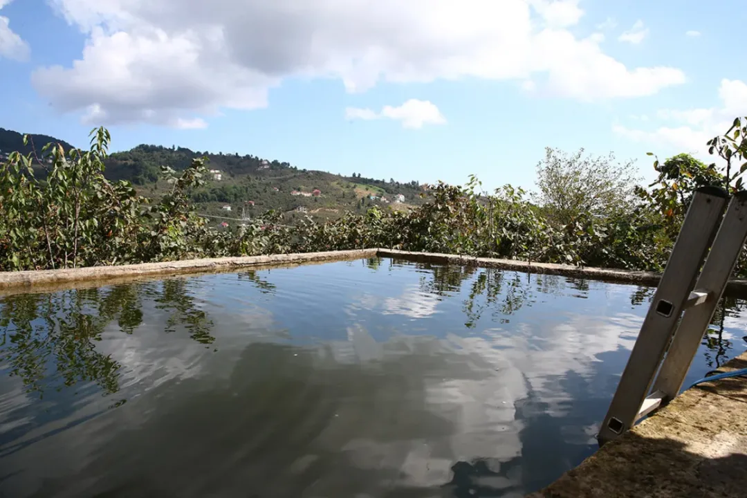 Giresunlu baba-oğul, damla sulama ile fındık rekoltesini ikiye katladı