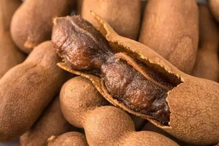 Osmanlı’nın gözbebeği: doğal şeker ilacı!