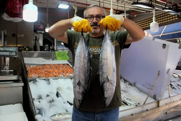 Karadeniz’de palamuta niyet, torike kısmet