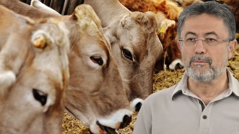 Bakan Yumaklı’dan endişelendiren açıklama.. 60 yıl sonra ilk kez görüldü! 