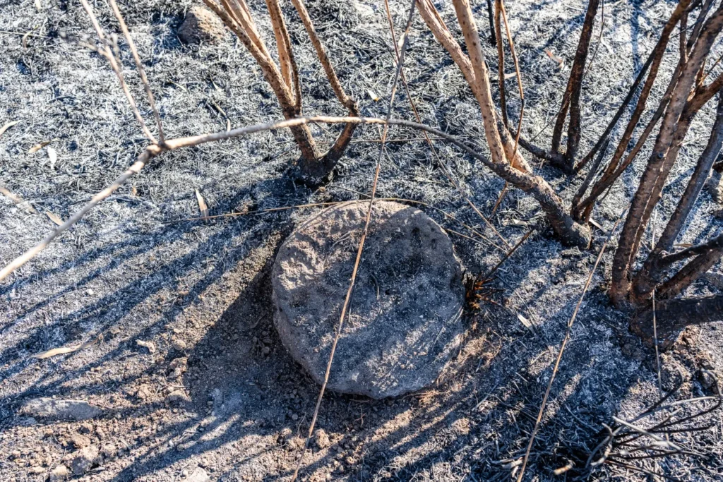 Orman Yangını, Celile Denizi’ndeki Kayıp İncil Köyü Betsaida’yı Ortaya Çıkardı