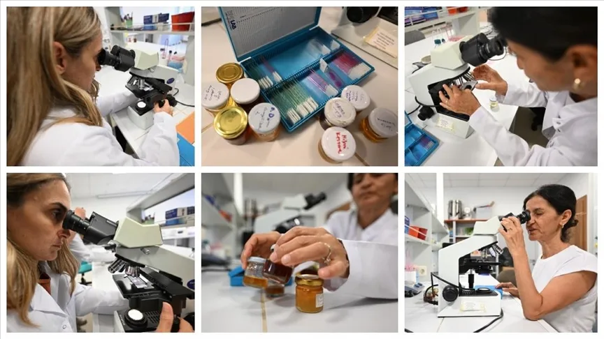 İklim değişikliği kestane balının içeriğini etkiledi