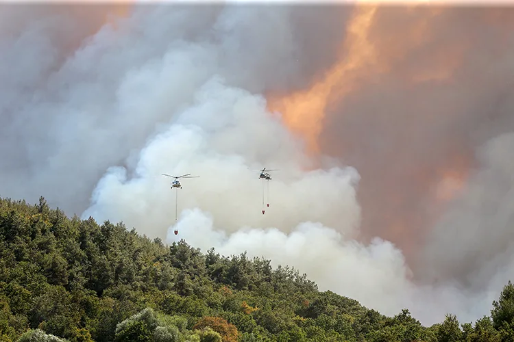 Orman yangınlarına müdahale ediliyor