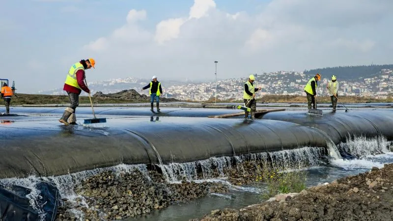 Temizlenen İzmit Körfezi’nde balık popülasyonu arttı