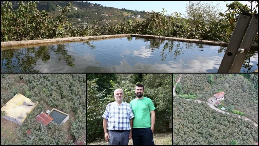 Giresun’da fındık bahçesine damla sulama sistemi kuran baba oğul verimi iki kat artırdı