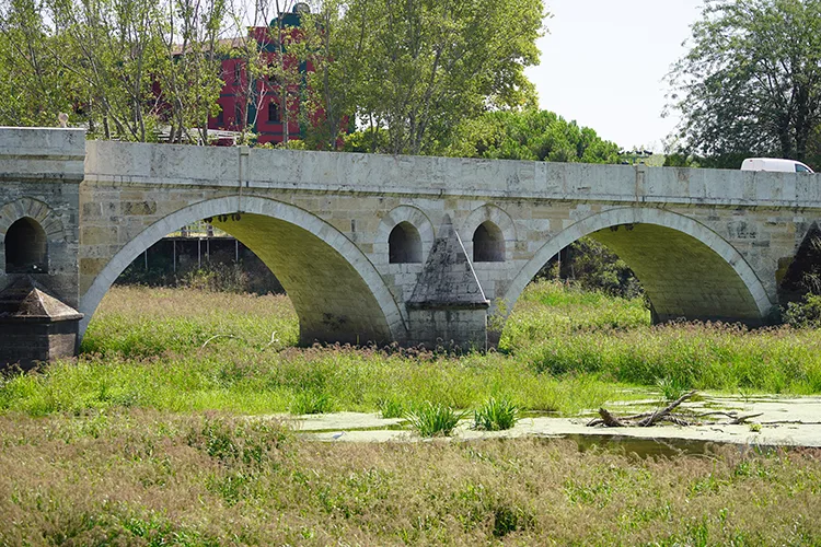Tunca Nehri’nde kuraklık nedeniyle su akışının durduğu alanlar ot öbekleriyle kaplandı