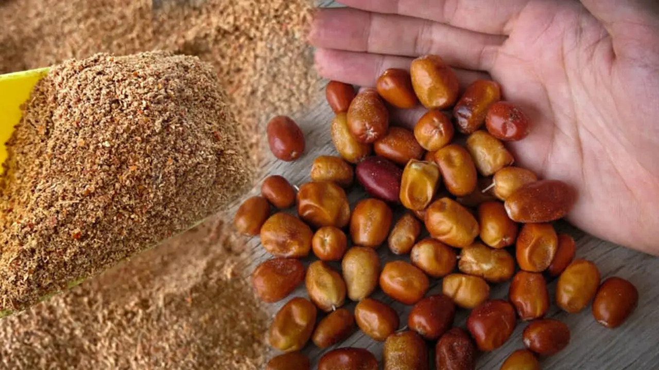 İğde Çekirdeği Faydaları Nelerdir?