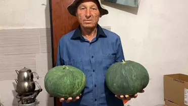 Çavuşlar Kavunu Yeniden Hayat Buldu