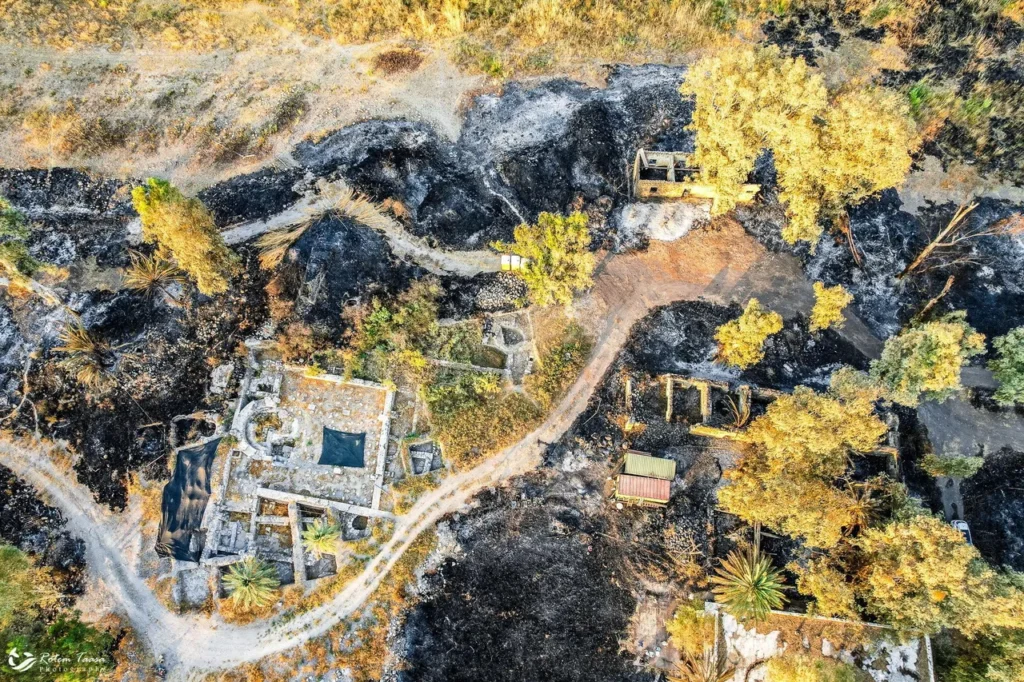 Orman Yangını, Celile Denizi’ndeki Kayıp İncil Köyü Betsaida’yı Ortaya Çıkardı