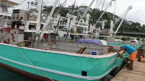 Yeni Sezonda Balıkçılar Bolca Hamsi Bekliyor