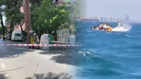 İstanbul’u fırtına vurdu; ağaçlar devrildi, denizde can pazarı yaşandı