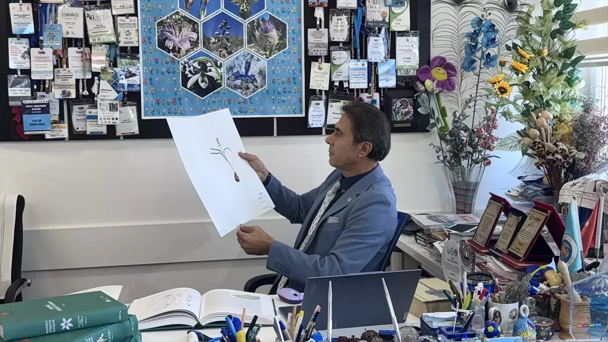 Toros Dağları’nda keşfedilen yeni bitki türüne ‘Konya Sümbülü’ adı verildi