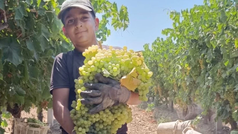 Böylesi görülmedi! Kucağında zor taşıdı