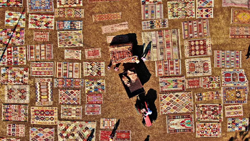 Antalya’da halı hasatı!