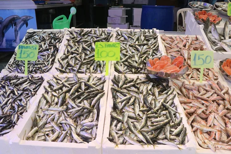Karadenizli balıkçıların tezgahlarında yeni sezonda en çok istavrit yer alıyor