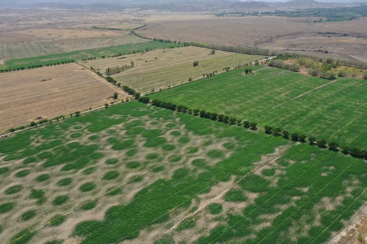 1000 dönümlük taşlık alanı 8 yılda tarım arazisine dönüştürdü