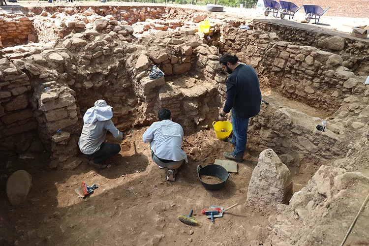 Kafatası Odası’nın Sırları: Sefertepe Kazılarında 12 Antik İnsan Kafatası Bulundu