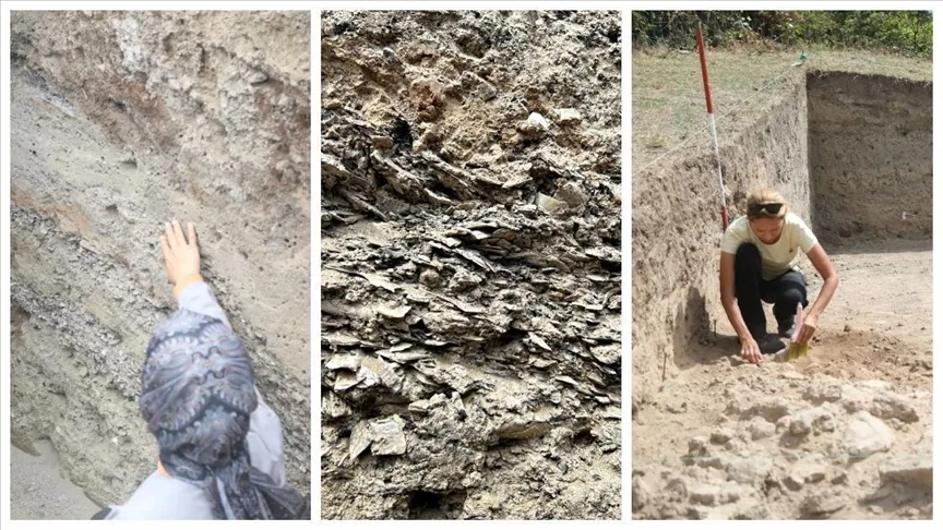 İkiztepe Höyüğü’ndeki kazılarda midye kabuklu katmana ulaşıldı
