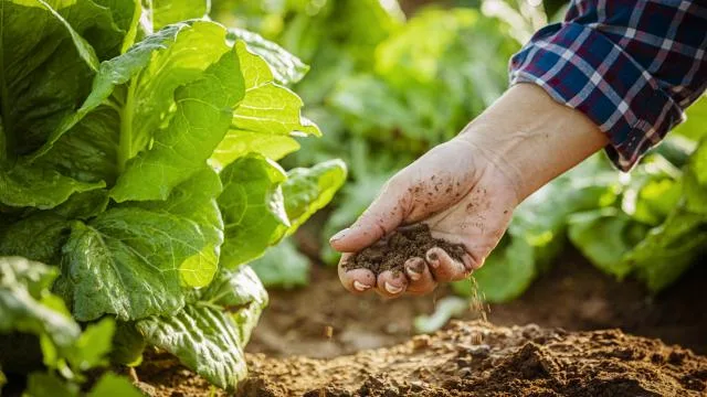 Tarımda verimlilik için toprak ve su kaynakları teknolojiyle korunacak