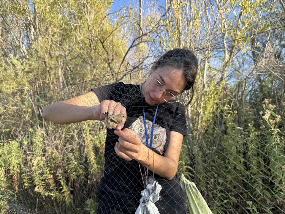 Sonbaharın gelişiyle Iğdır’da kuzeyden güneye göçen kuş sayısında artış yaşanıyor