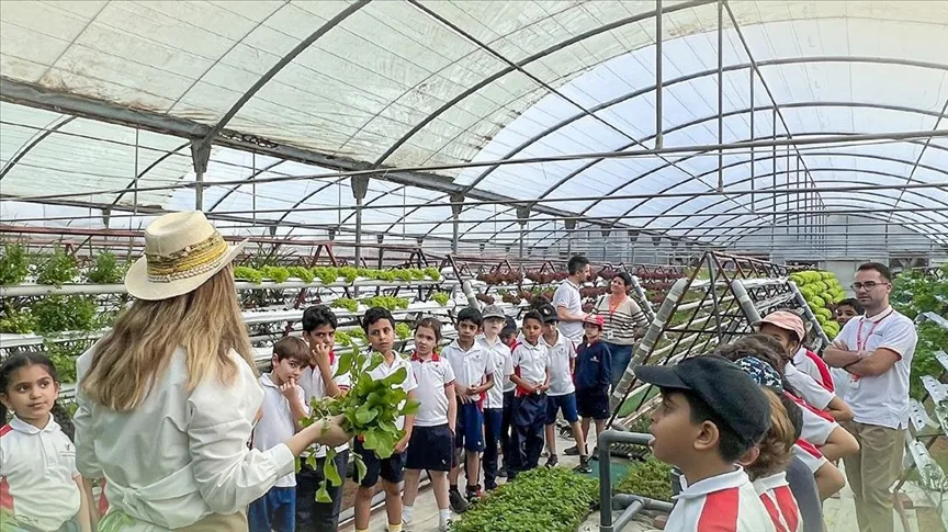 Gençler ve çocuklar oyun oynayarak tarımla tanışıyor