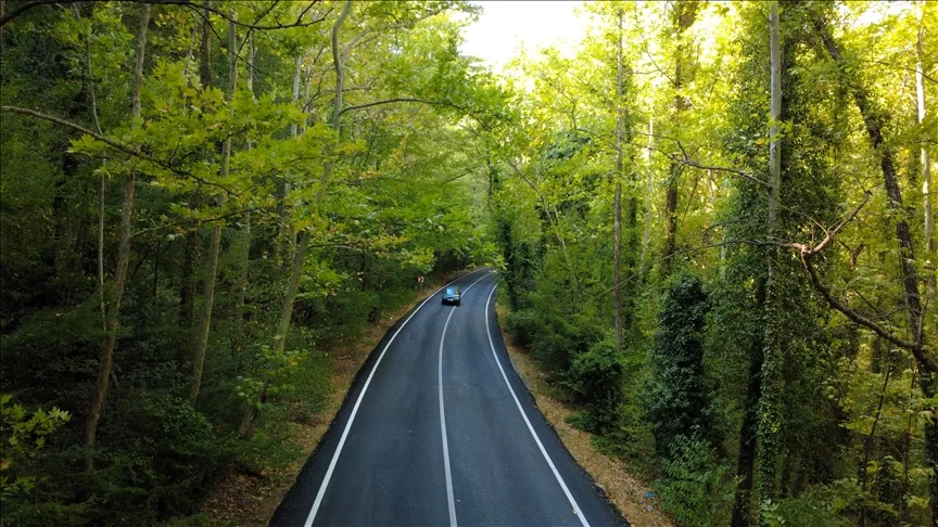 Safranbolu’nun “ağaç tüneli”, misafirlerine yeşilin içinde yolculuk keyfi yaşatıyor