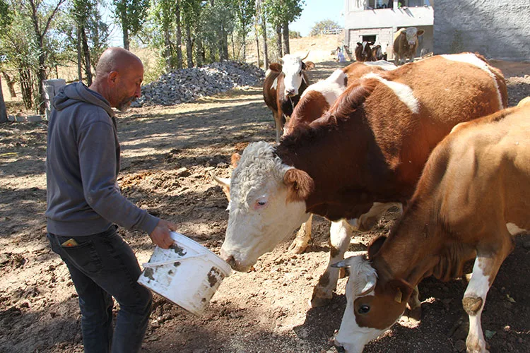 Eski hükümlü, devlet desteğiyle başladığı hayvancılığı 6 yıldır sürdürüyor