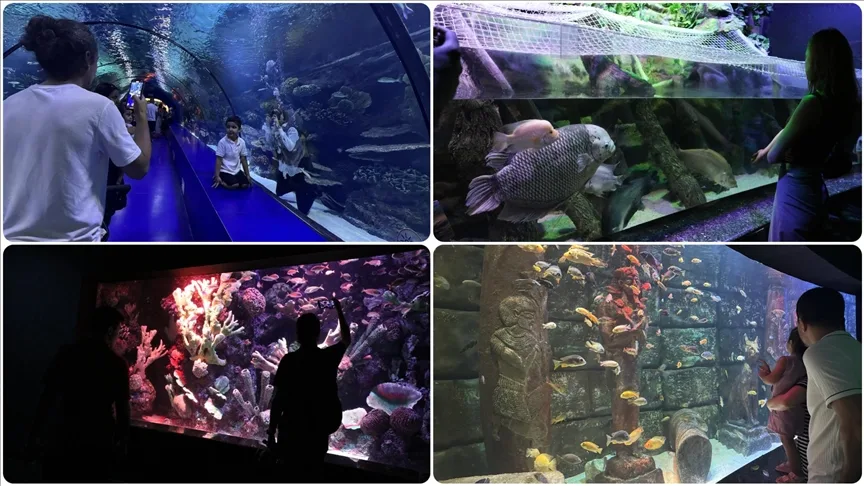 Antalya Akvaryum 28 bin balık varlığıyla yabancı turistlerin de rotasında