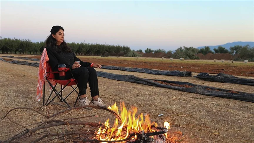 Manisalı çiftçiler kuru üzüm için geceleri nöbette