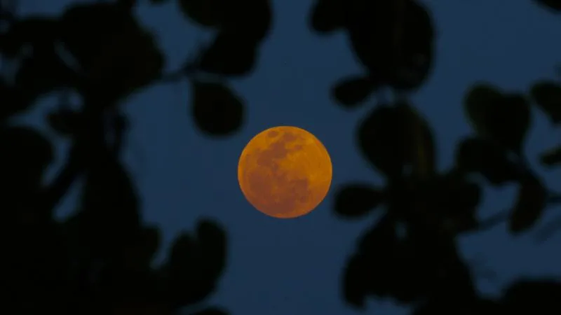 Dünya bu ay 82 dakikalık Kanlı Ay tutulmasına tanık olacak