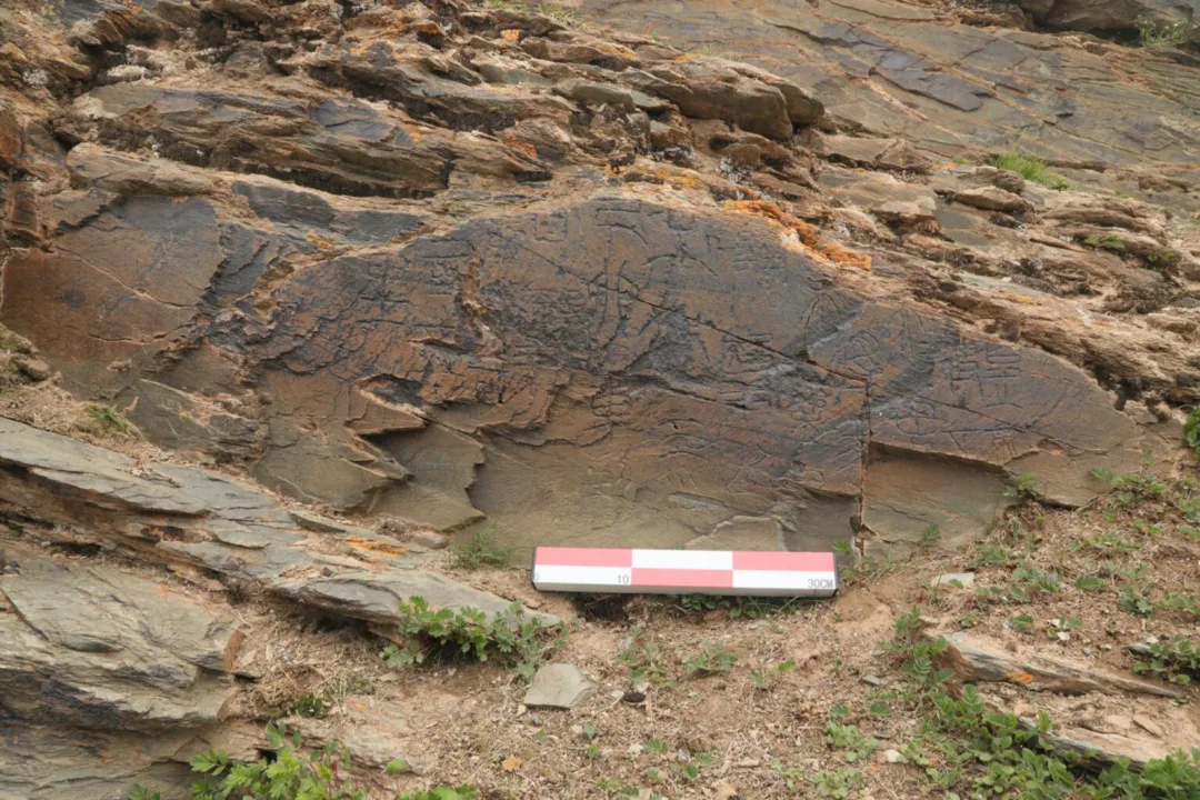 Pişmiş Toprak Ordusu İmparatorun Ölümsüzlük Arayışı: Tibetçe Yazıt Doğrulandı.