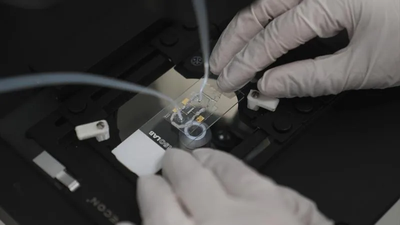 Milli çiplerin seri üretimi için geri sayım