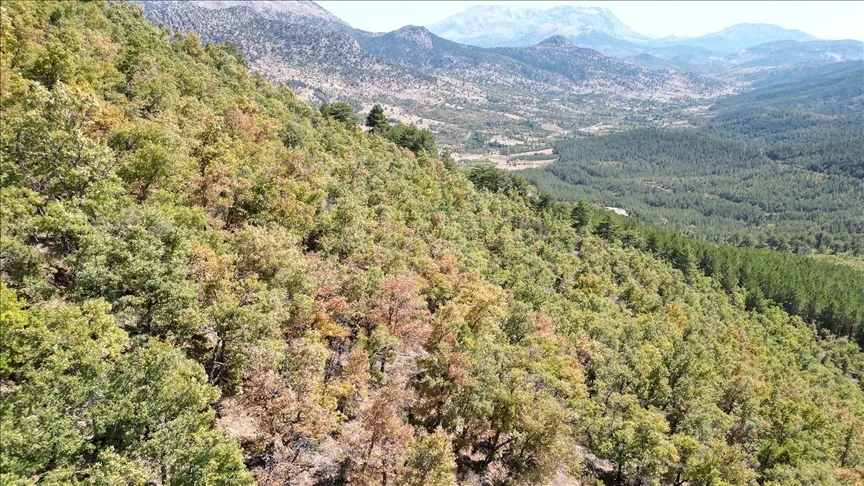 Isparta’da ormanlar sonbahar renklerine büründü