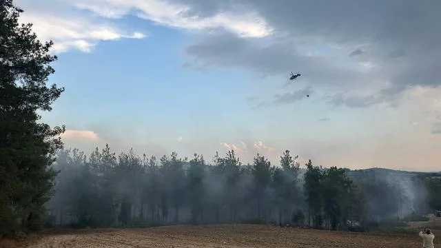 Osmaniye’de orman yangını