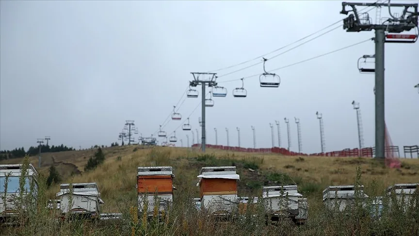 Palandöken Kayak Merkezi, bitkilendirme çalışmaları ve arı kovanı uygulamasıyla yeşilleniyor