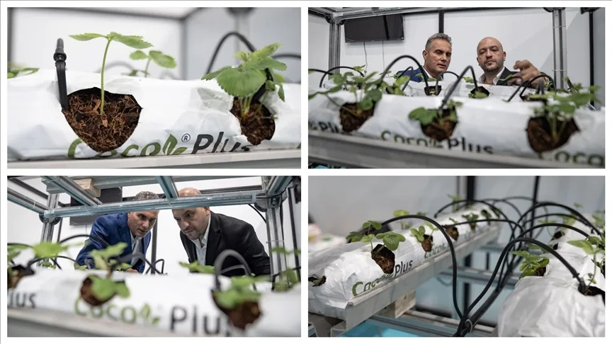 Mühendis kardeşlerden uzaktan kontrol edilebilen topraksız tarım sistemi