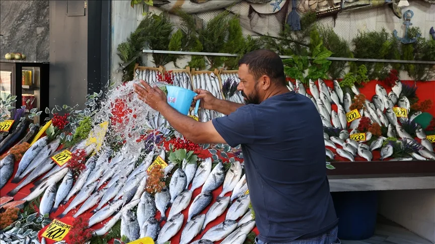 Denizlerde av yasağının sona ermesiyle denize açılan balıkçıların yakaladığı balıklar tezgahlarda yerini aldı.