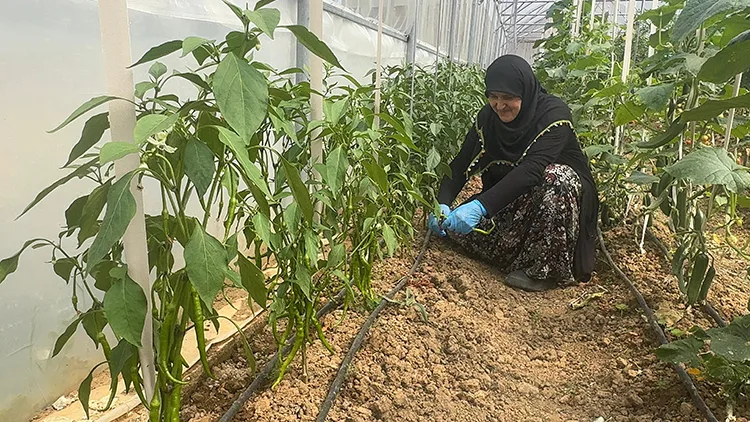 Seracılık hayalini 60 yaşında gerçekleştirdi